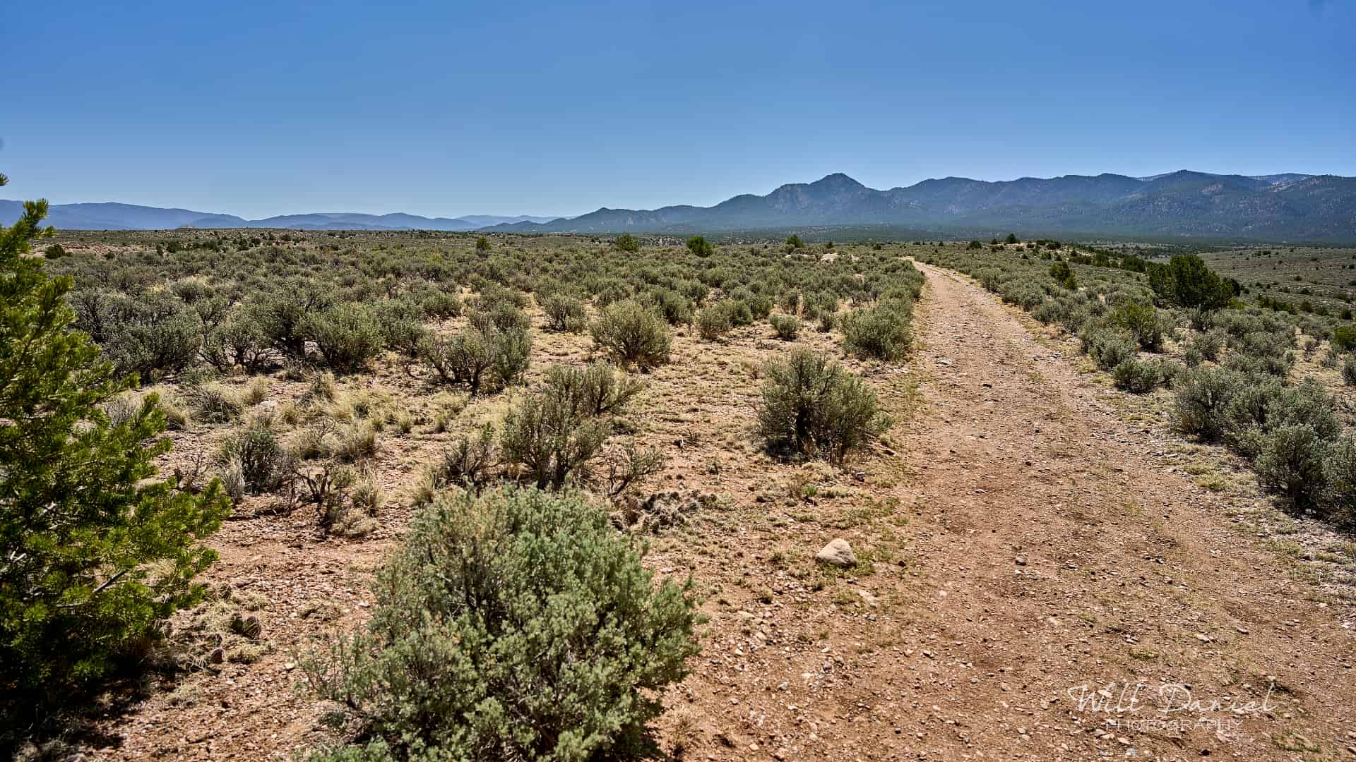 New Mexico Trail Photos