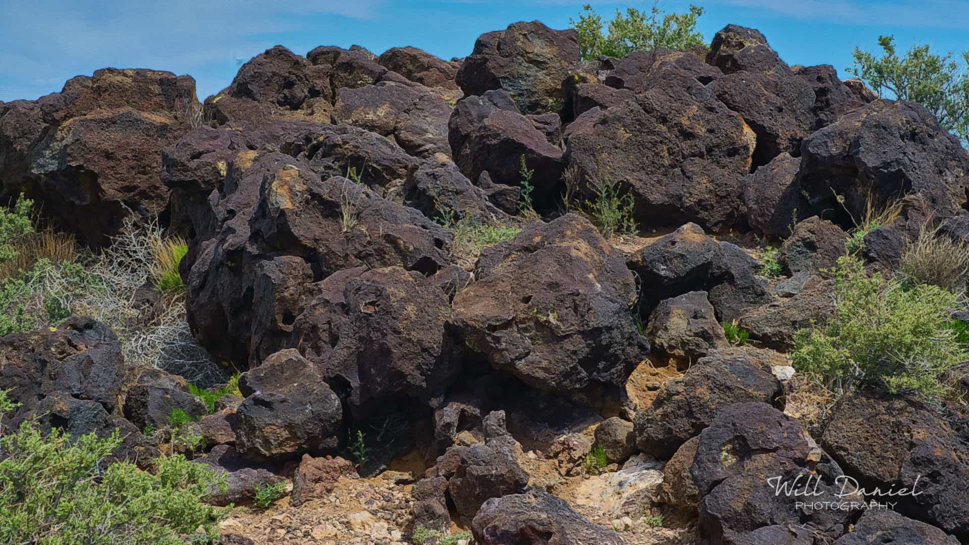 New Mexico Remix Photos