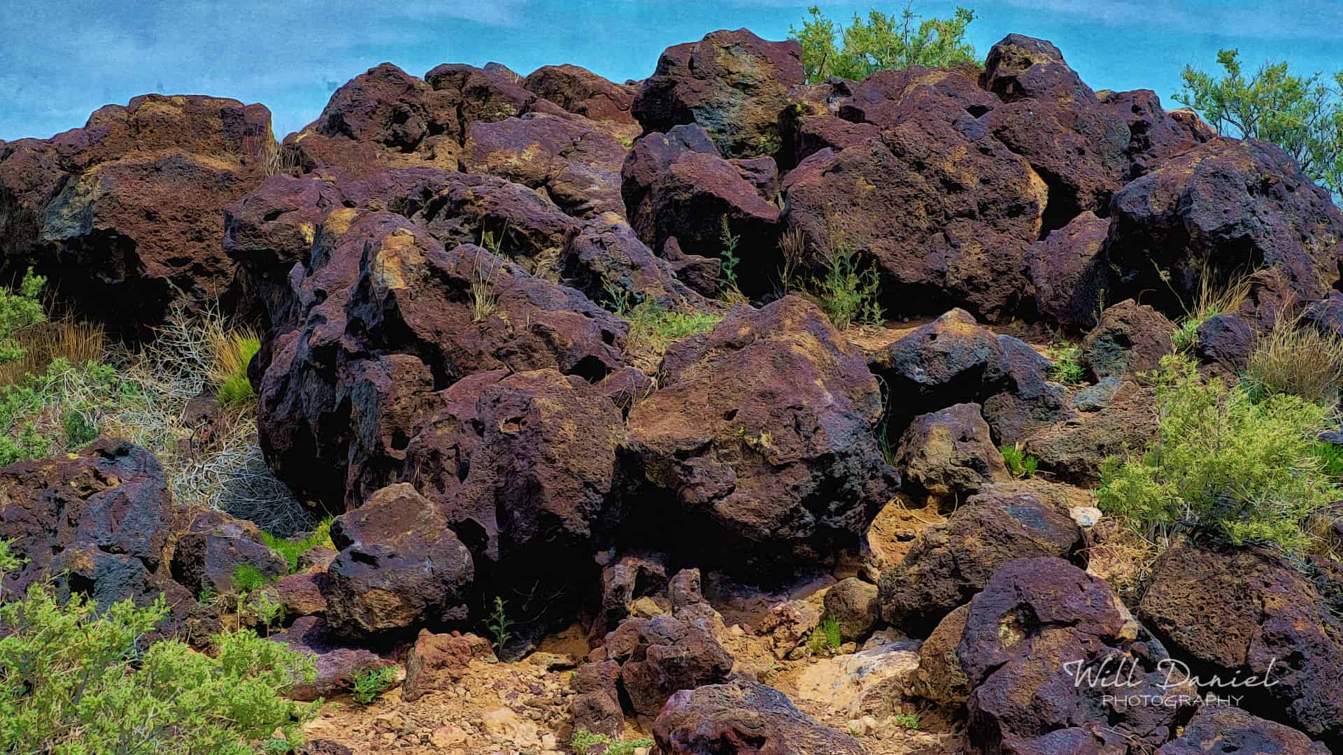 New Mexico Remix Photos