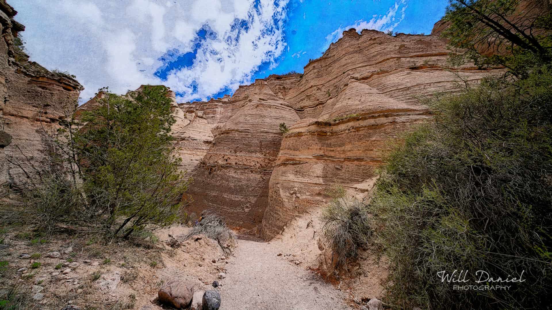 New Mexico Remix Photos