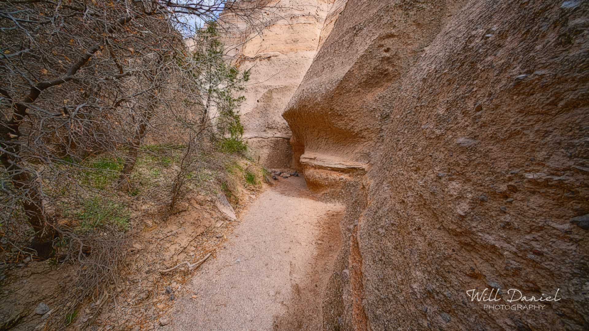 New Mexico Remix Photos