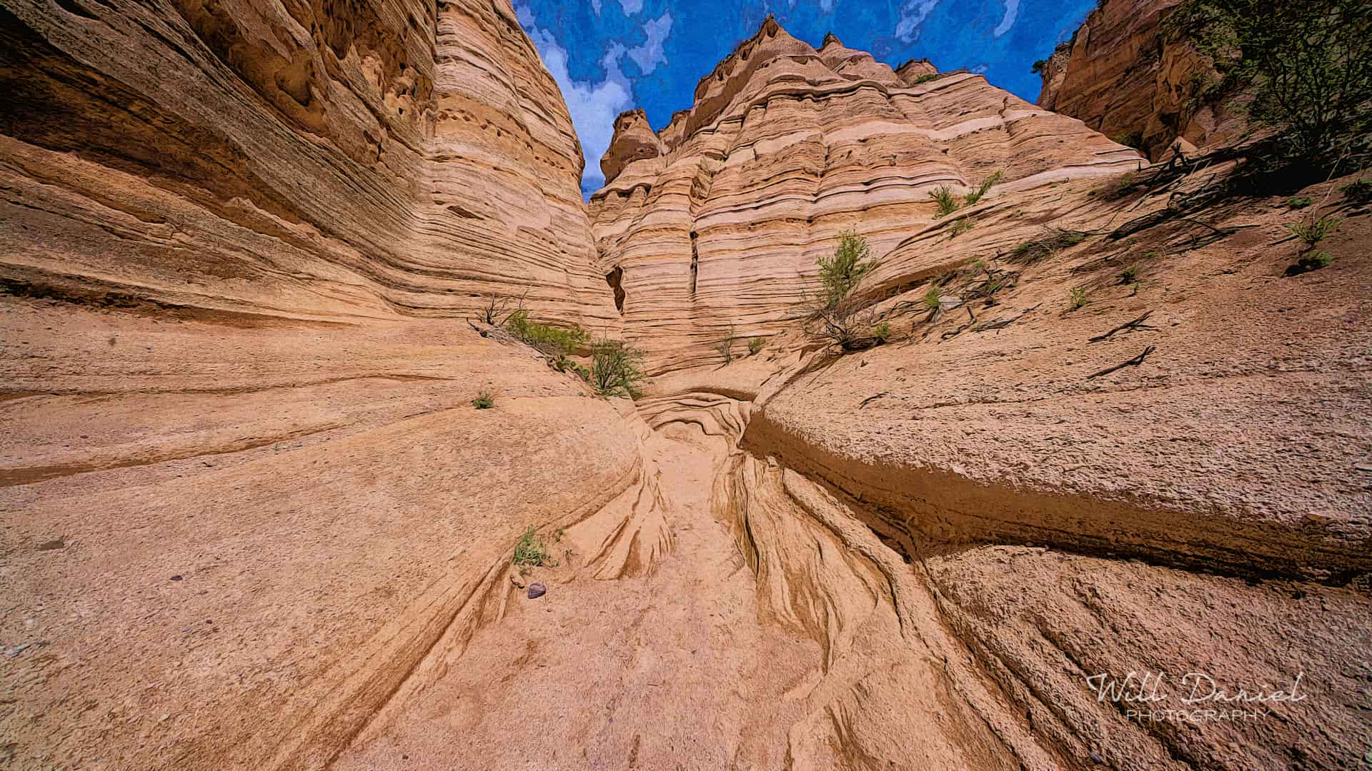 New Mexico Remix Photos