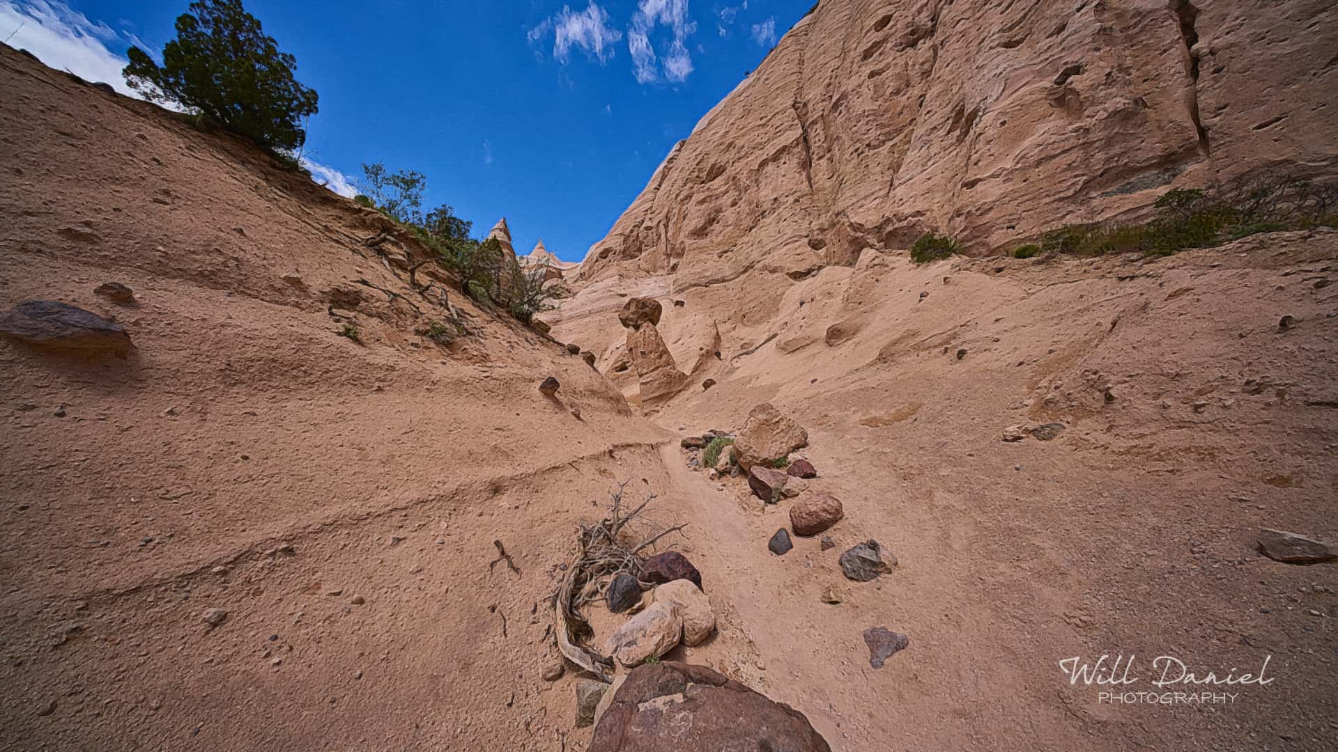 New Mexico Remix Photos