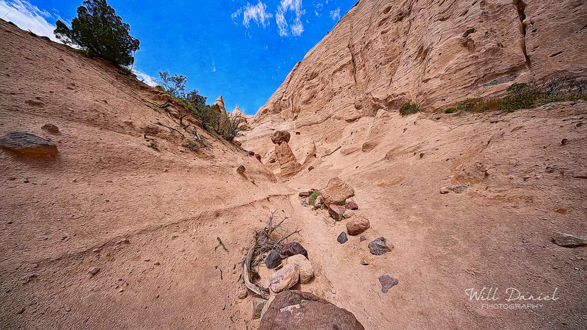 New Mexico Remix Photos