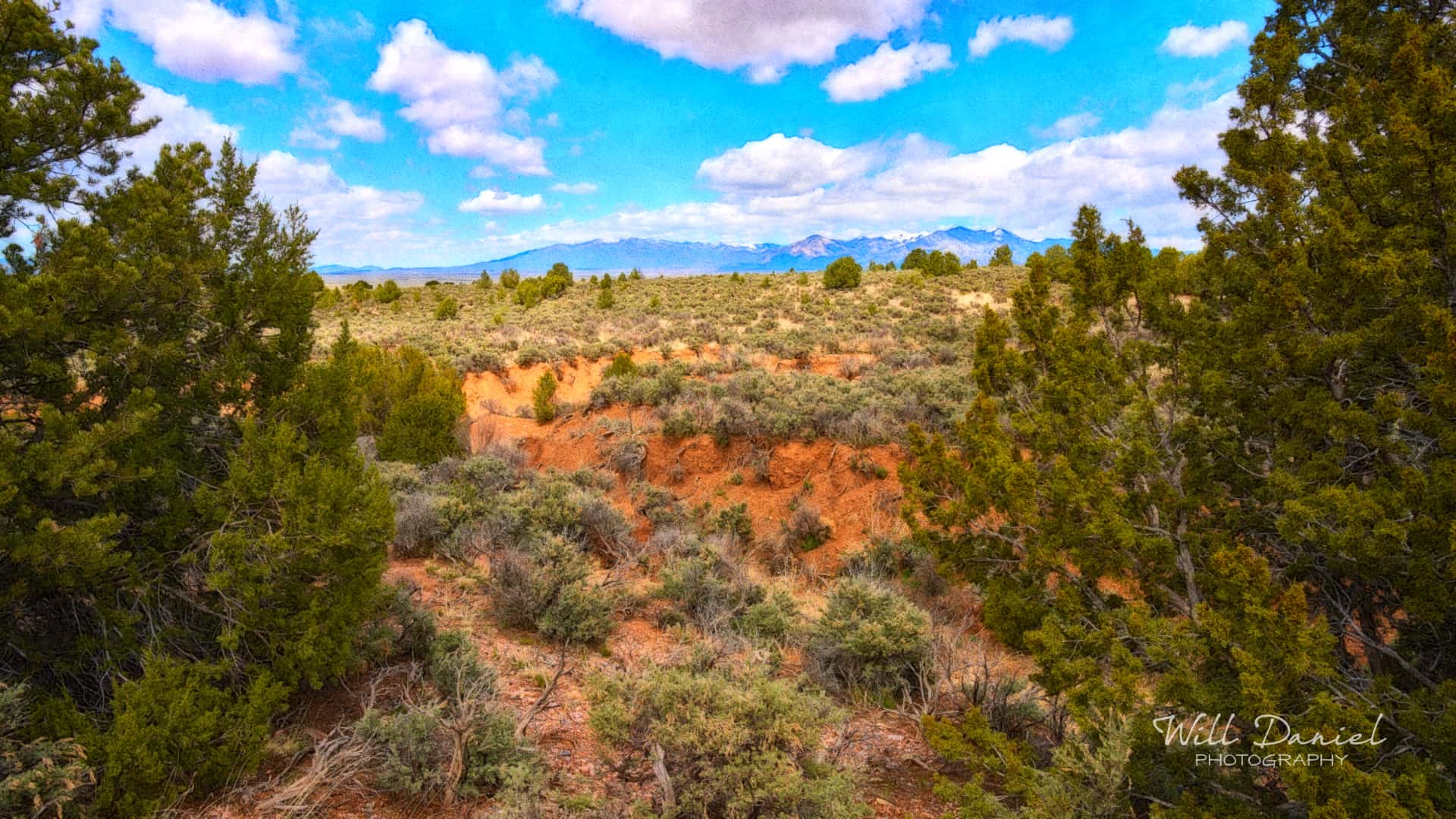 New Mexico Remix Photos