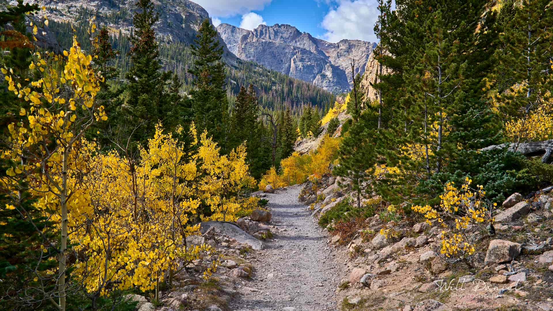 Colorado-Trail-Landscape photo