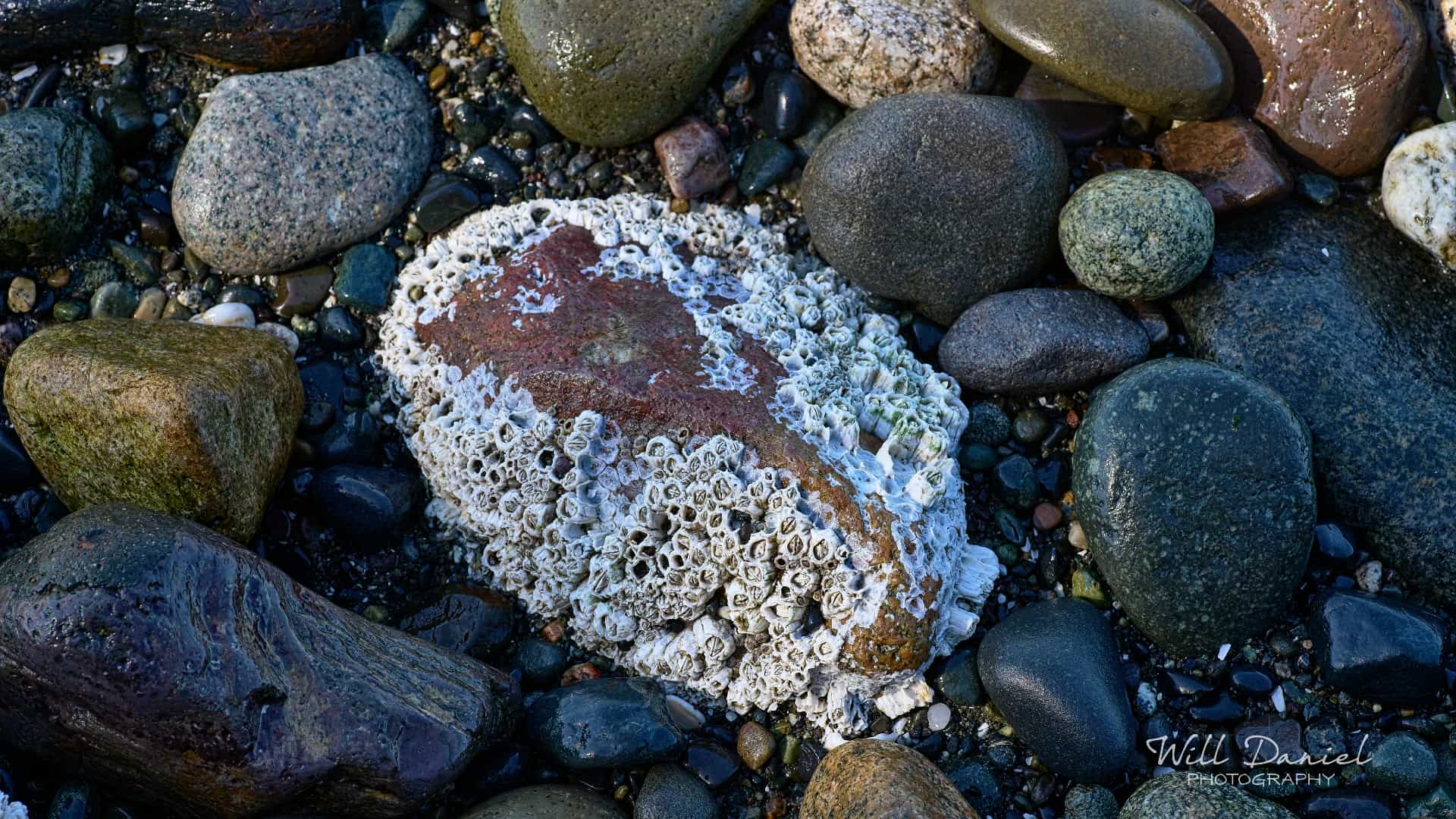 Washington Trail Photos