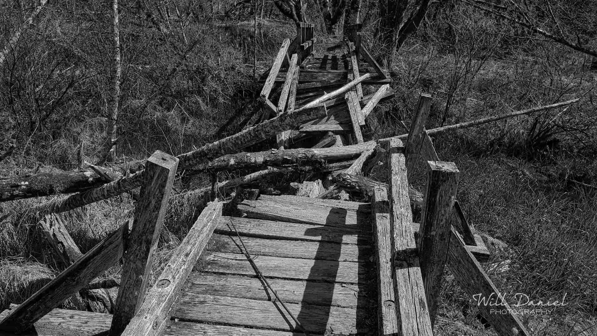 Washington Trail Photos