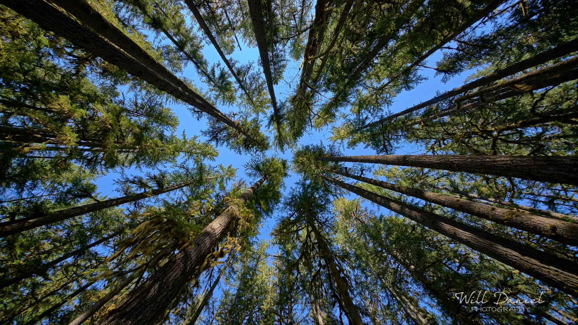 Washington Trail Photos