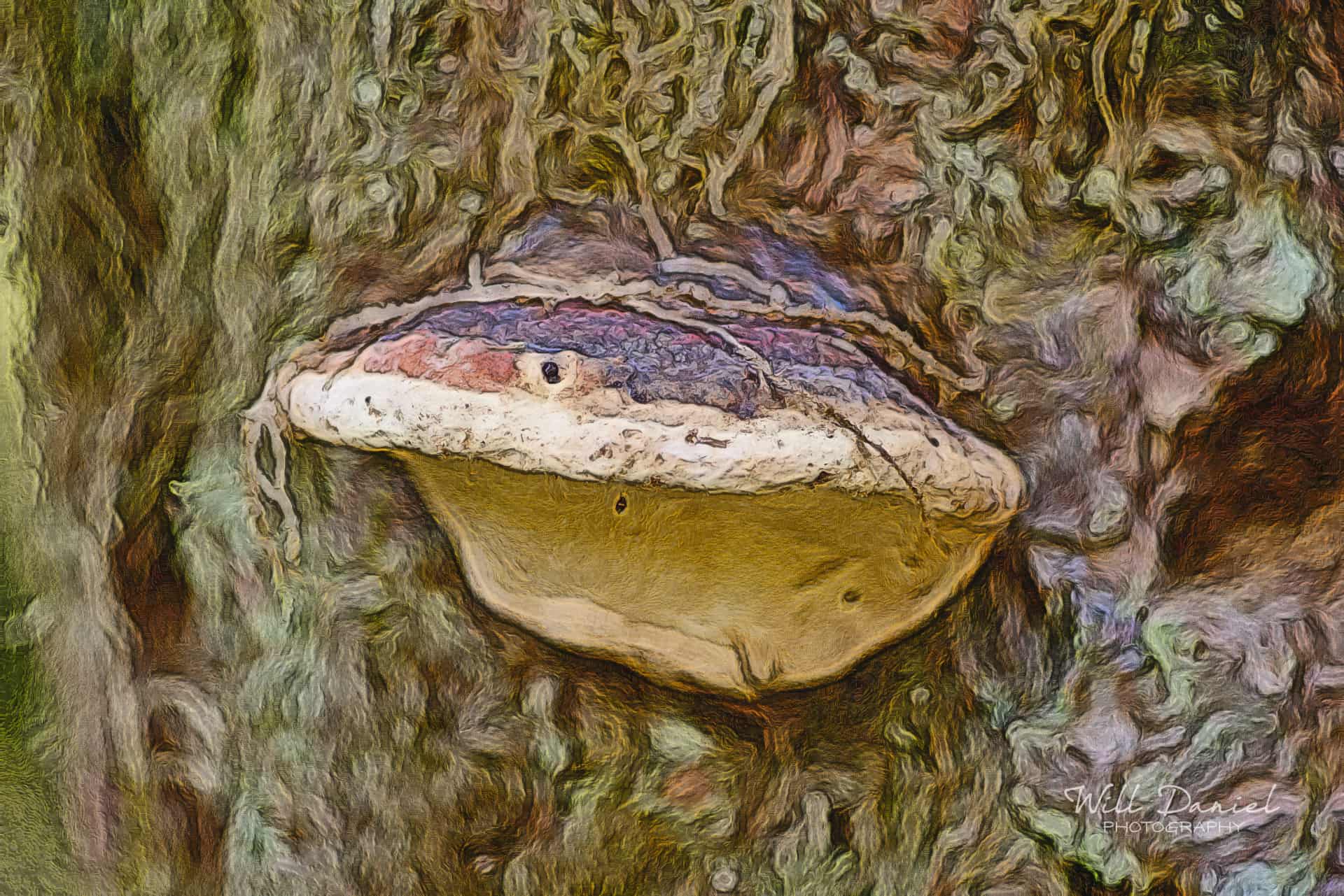 Beaver Lake Trail 127_IZ