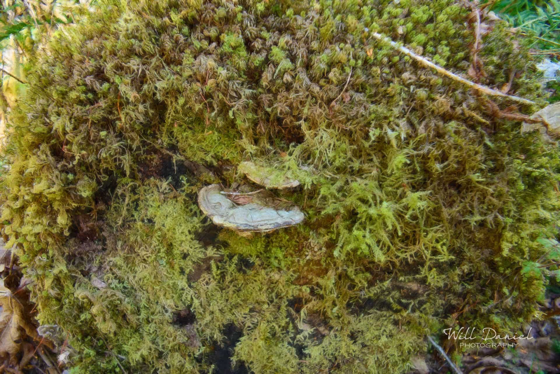 Rockport State Park 175_N2